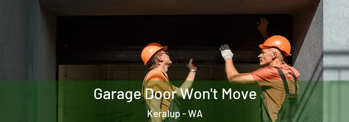 Garage Door Won't Move Keralup - WA