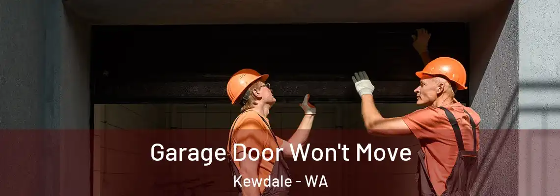 Garage Door Won't Move Kewdale - WA