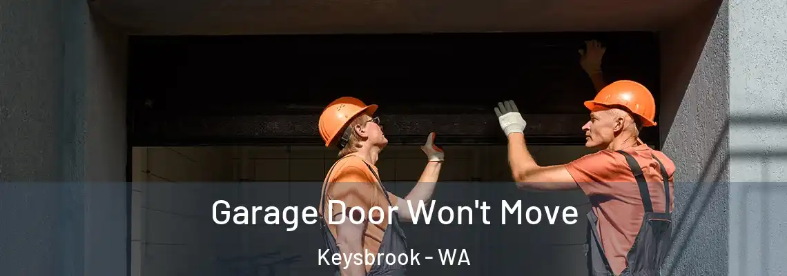 Garage Door Won't Move Keysbrook - WA