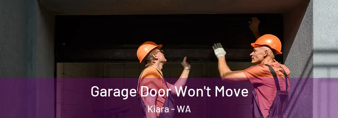 Garage Door Won't Move Kiara - WA