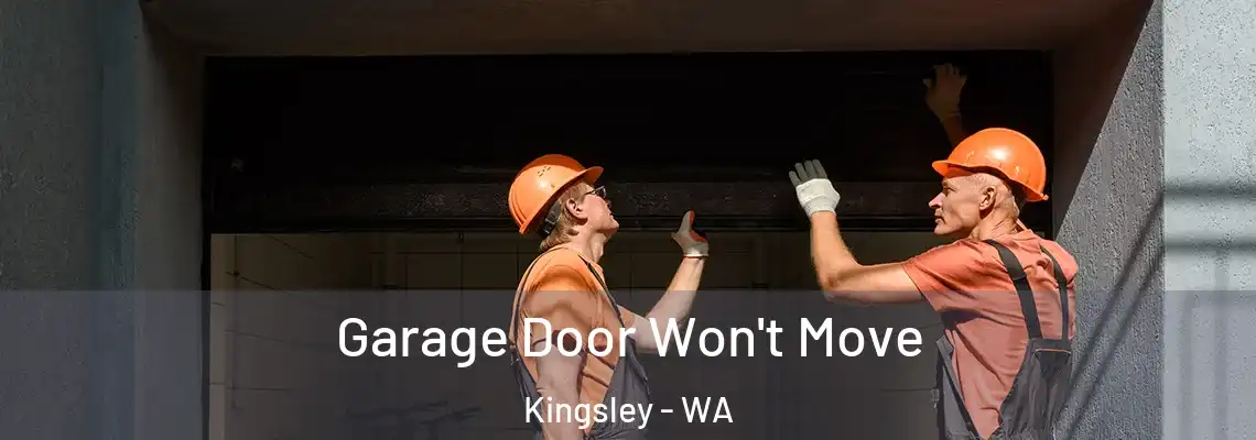 Garage Door Won't Move Kingsley - WA