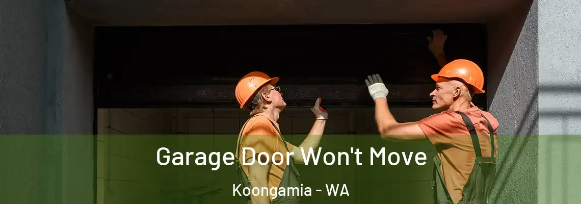 Garage Door Won't Move Koongamia - WA