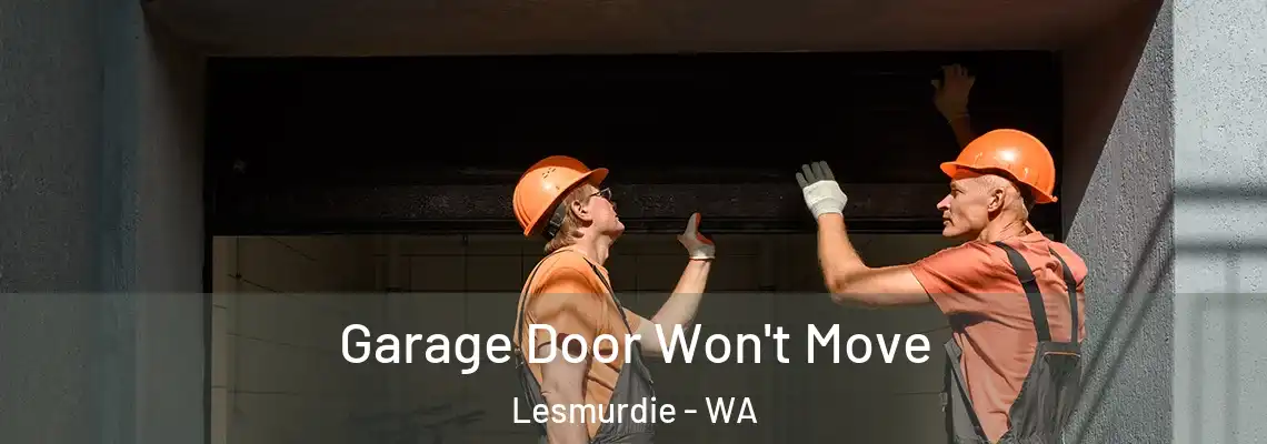 Garage Door Won't Move Lesmurdie - WA