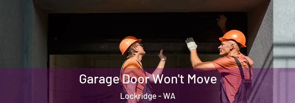  Garage Door Won't Move Lockridge - WA