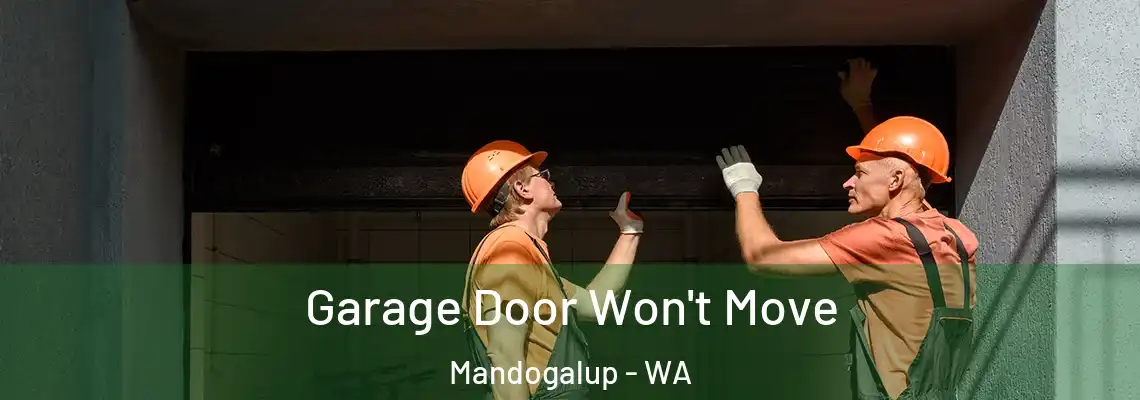 Garage Door Won't Move Mandogalup - WA
