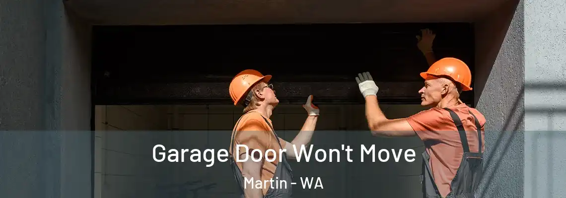 Garage Door Won't Move Martin - WA
