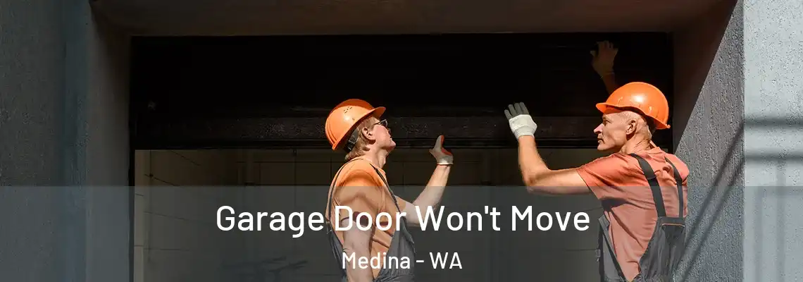 Garage Door Won't Move Medina - WA