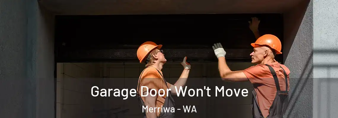 Garage Door Won't Move Merriwa - WA