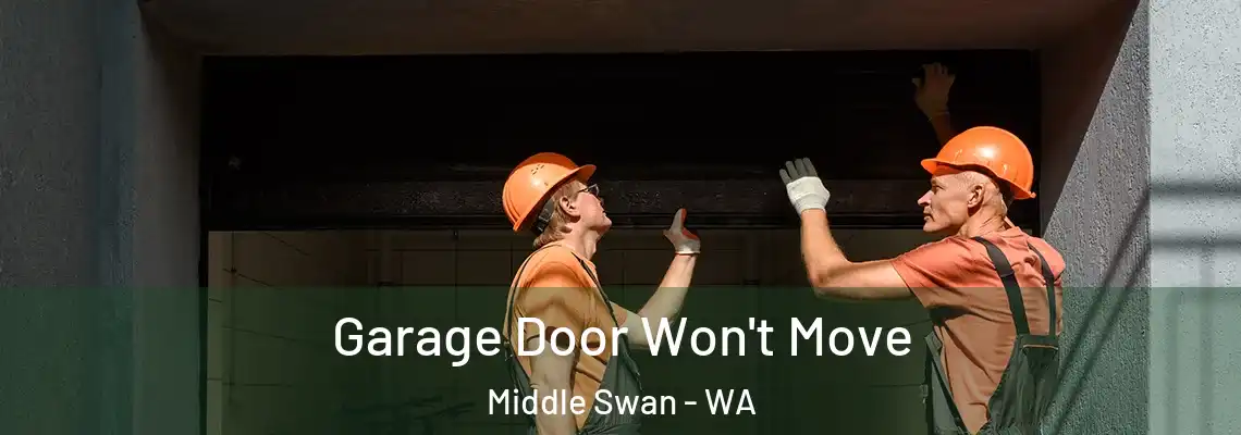 Garage Door Won't Move Middle Swan - WA