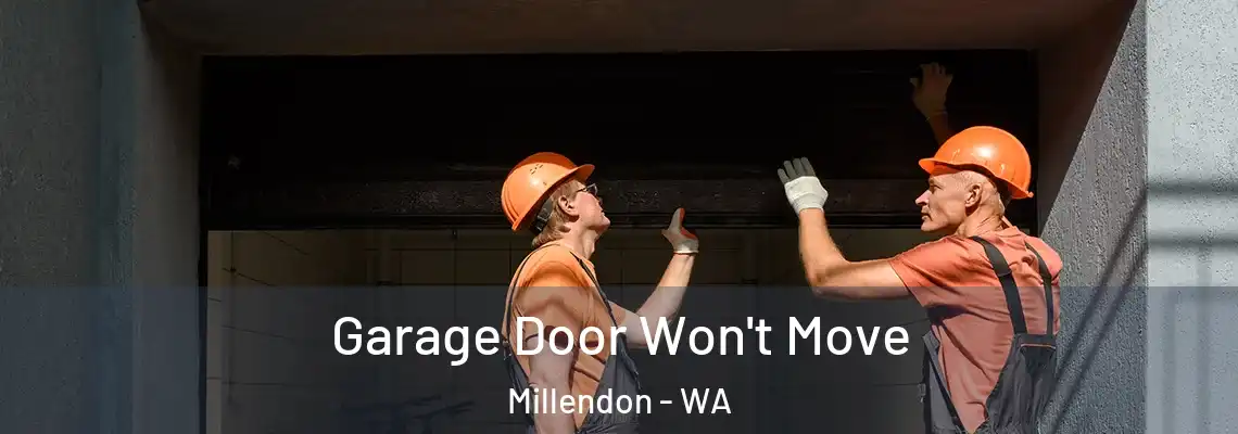 Garage Door Won't Move Millendon - WA