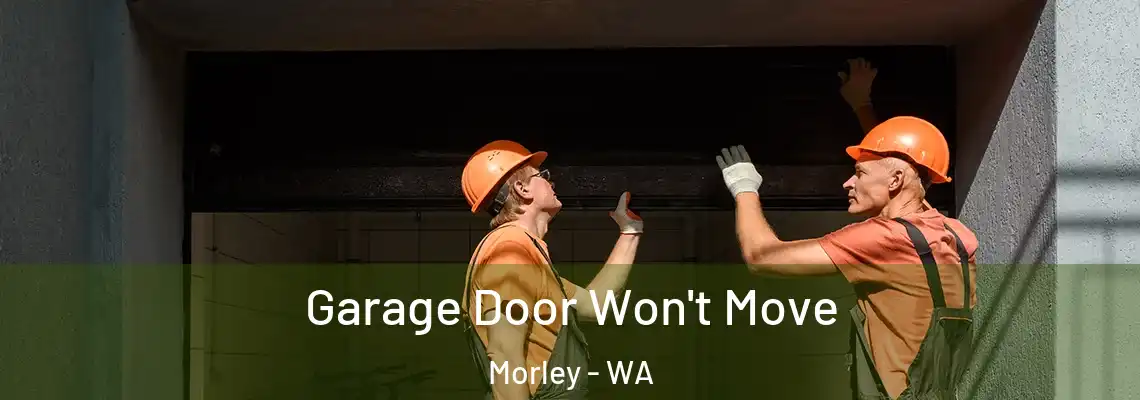Garage Door Won't Move Morley - WA