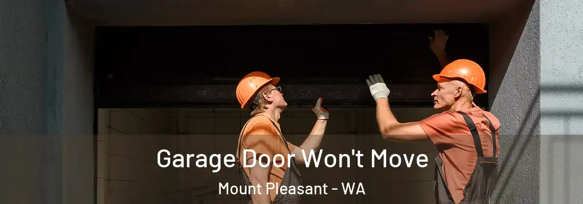 Garage Door Won't Move Mount Pleasant - WA