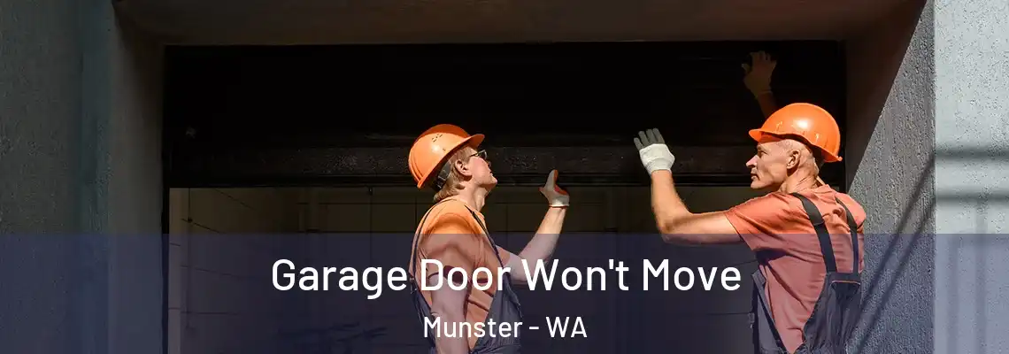 Garage Door Won't Move Munster - WA
