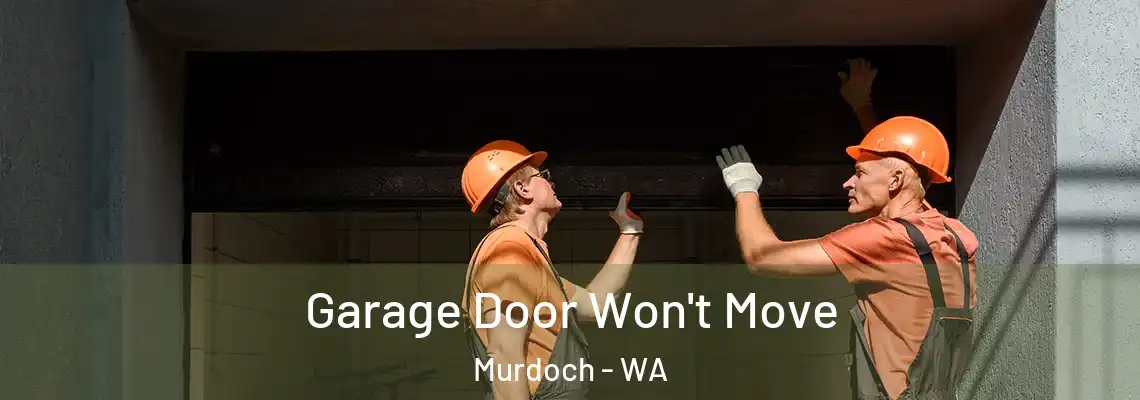 Garage Door Won't Move Murdoch - WA