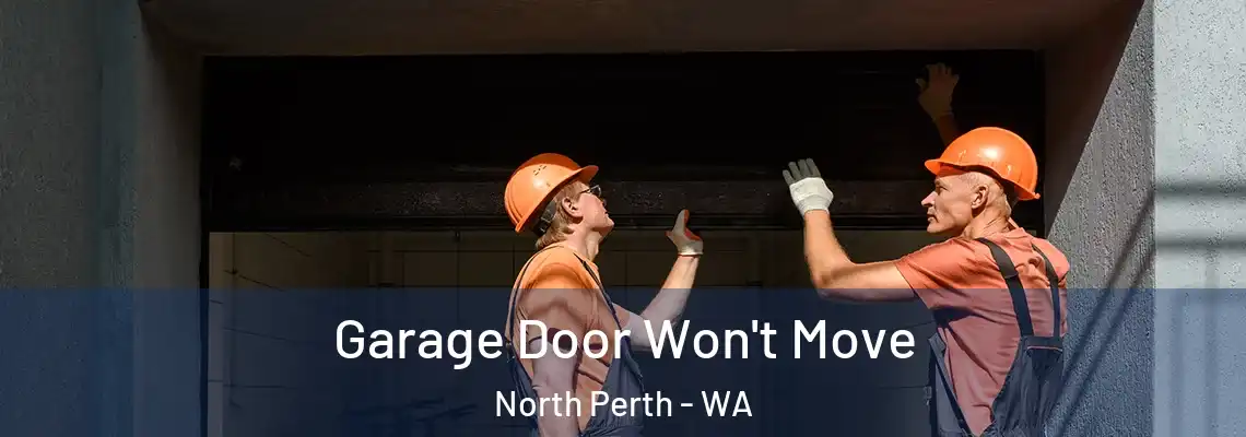 Garage Door Won't Move North Perth - WA