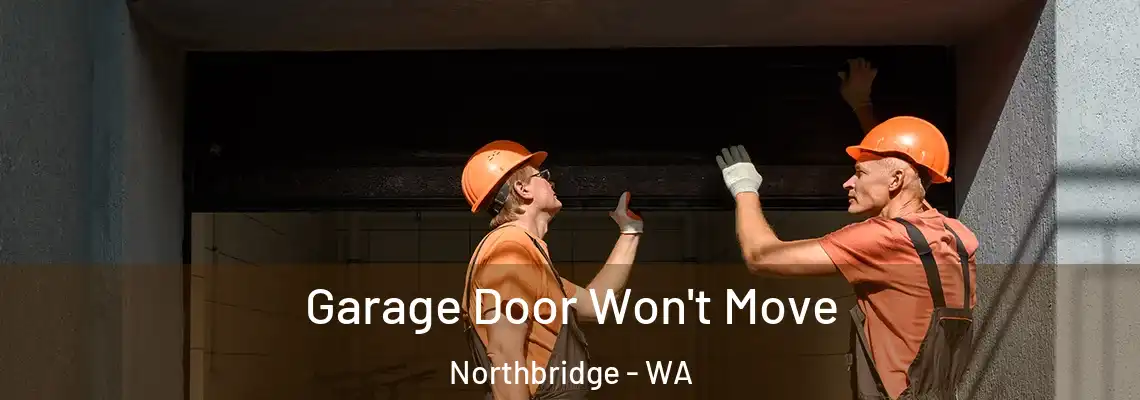 Garage Door Won't Move Northbridge - WA