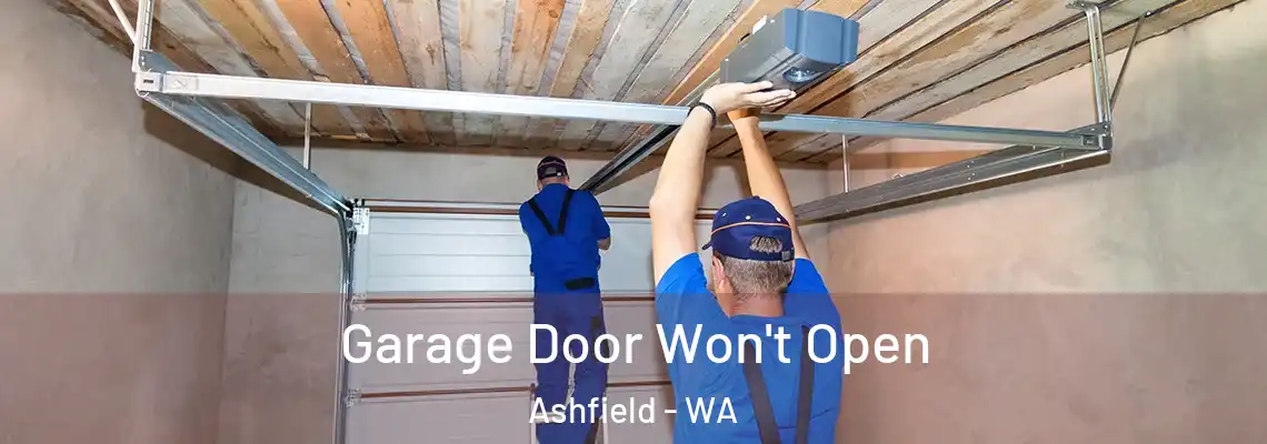 Garage Door Won't Open Ashfield - WA
