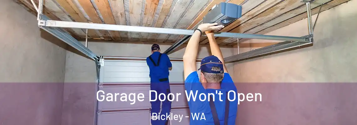Garage Door Won't Open Bickley - WA
