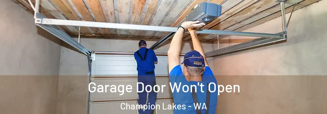 Garage Door Won't Open Champion Lakes - WA