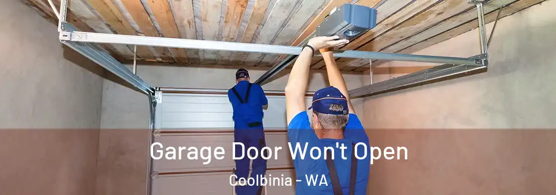 Garage Door Won't Open Coolbinia - WA