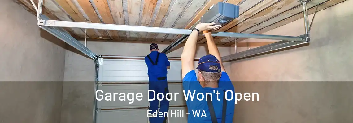 Garage Door Won't Open Eden Hill - WA