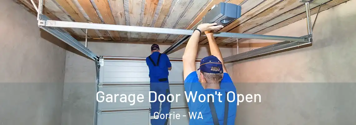 Garage Door Won't Open Gorrie - WA