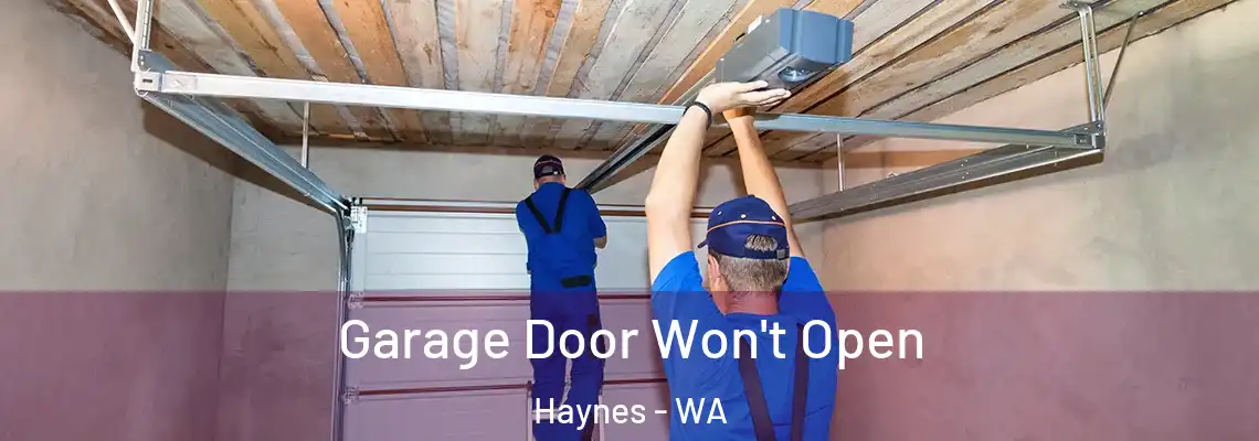 Garage Door Won't Open Haynes - WA