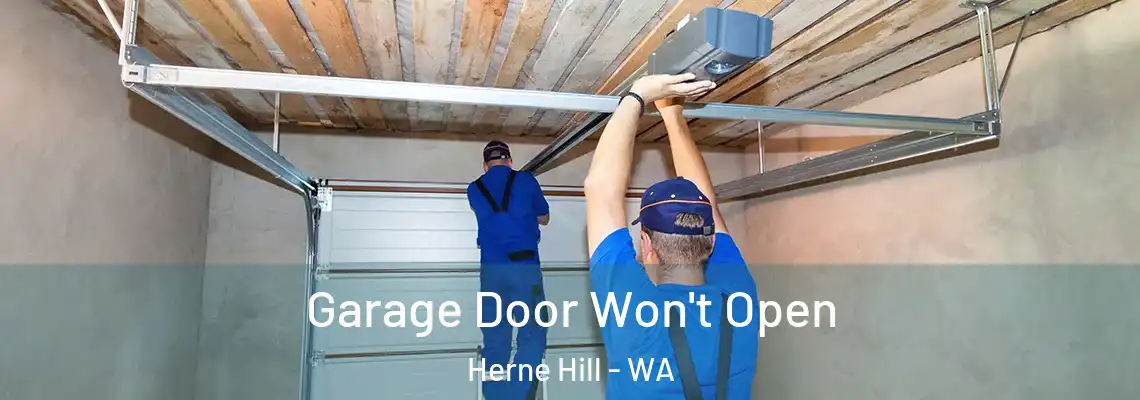  Garage Door Won't Open Herne Hill - WA