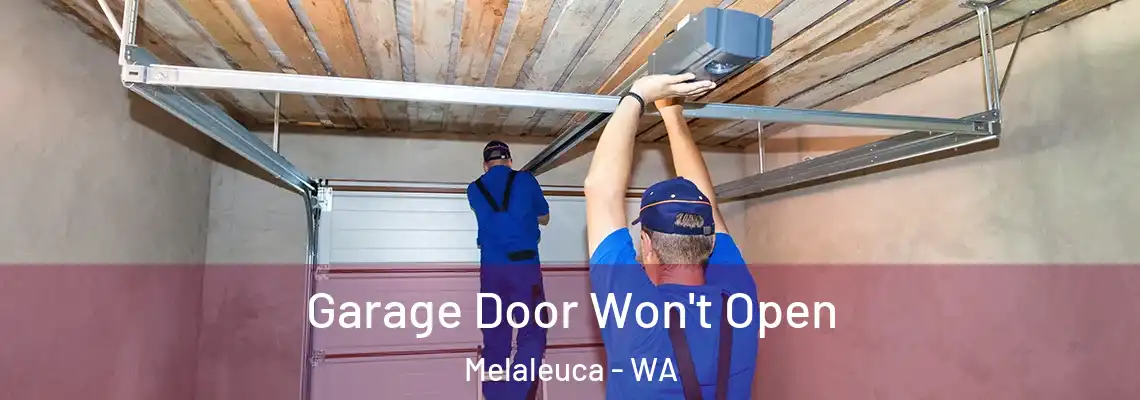 Garage Door Won't Open Melaleuca - WA