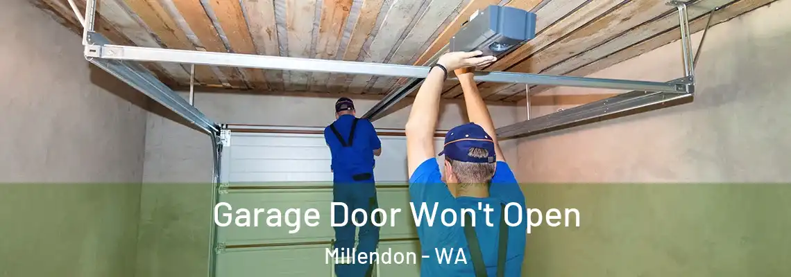 Garage Door Won't Open Millendon - WA