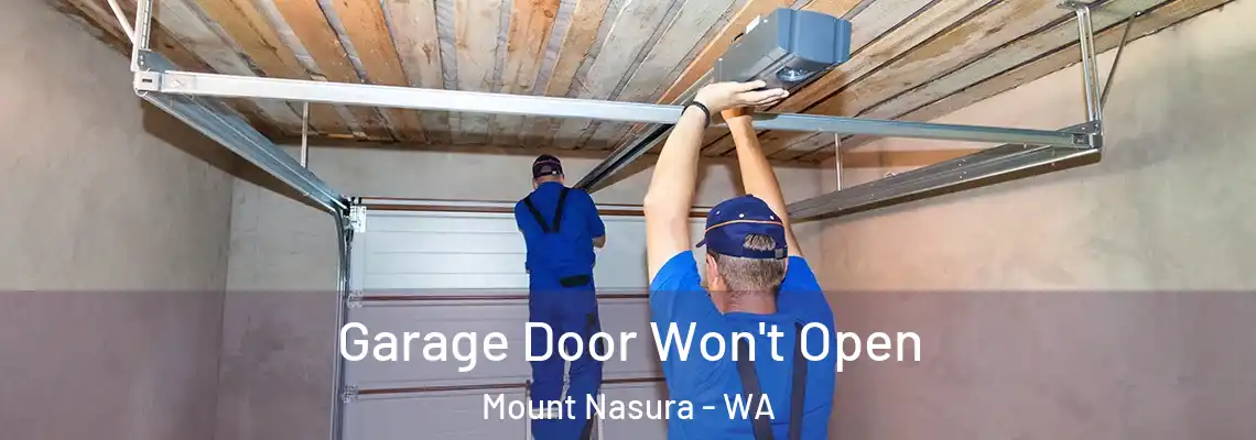 Garage Door Won't Open Mount Nasura - WA