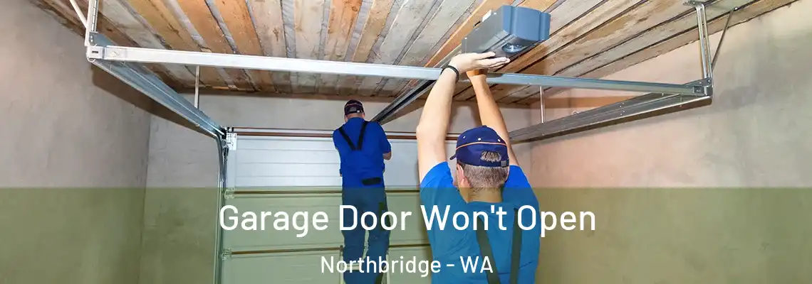 Garage Door Won't Open Northbridge - WA