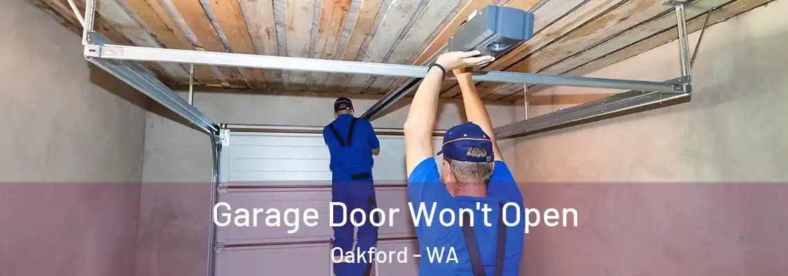 Garage Door Won't Open Oakford - WA