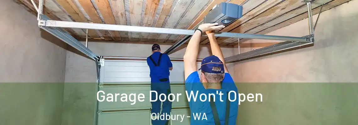Garage Door Won't Open Oldbury - WA