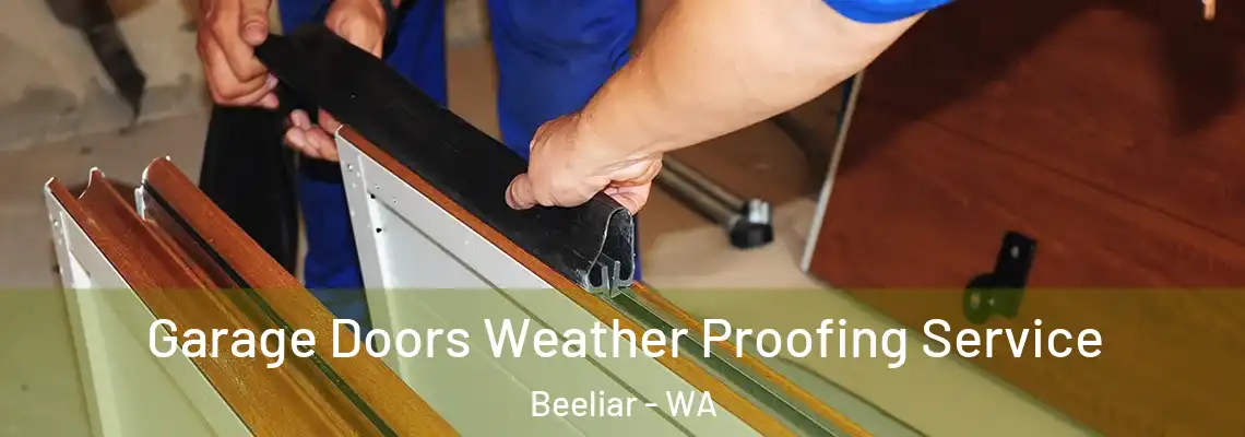Garage Doors Weather Proofing Service Beeliar - WA