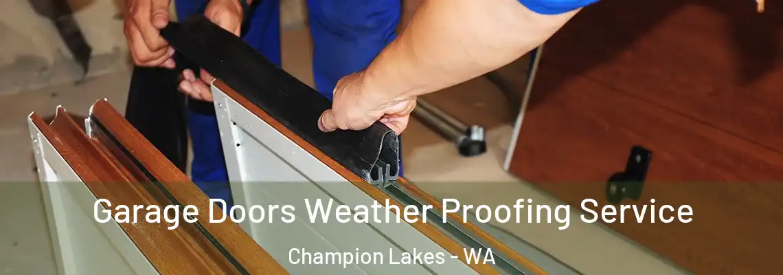 Garage Doors Weather Proofing Service Champion Lakes - WA