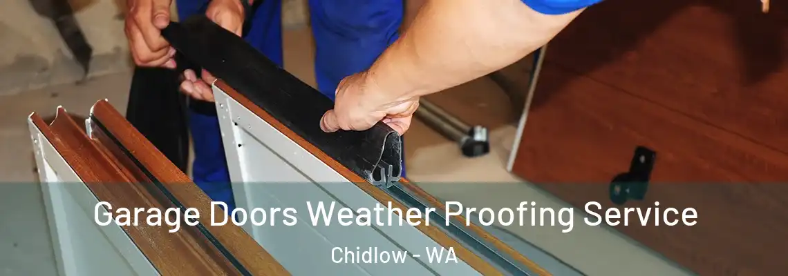 Garage Doors Weather Proofing Service Chidlow - WA