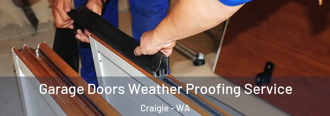 Garage Doors Weather Proofing Service Craigie - WA