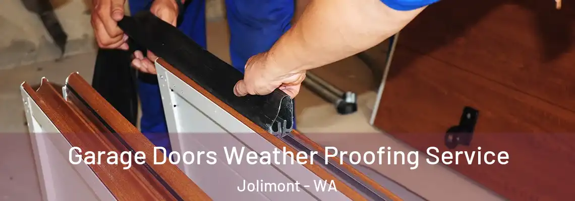 Garage Doors Weather Proofing Service Jolimont - WA