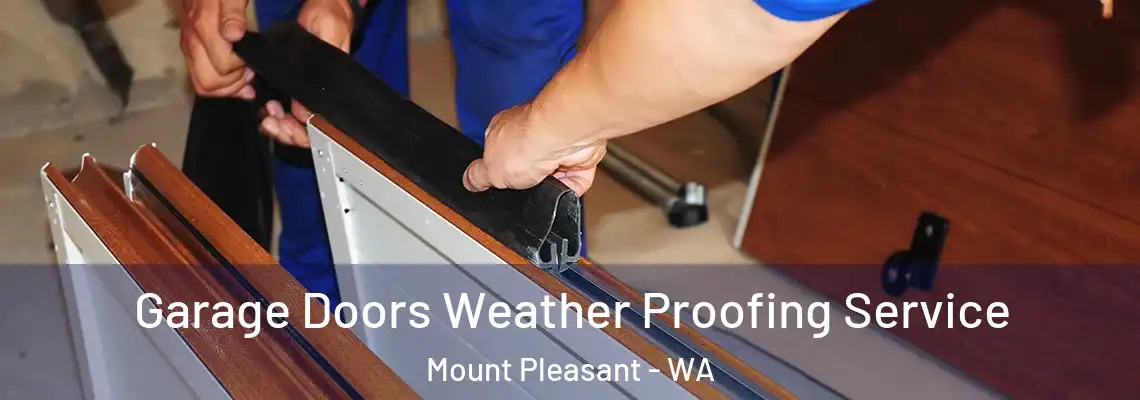 Garage Doors Weather Proofing Service Mount Pleasant - WA