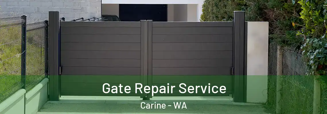 Gate Repair Service Carine - WA