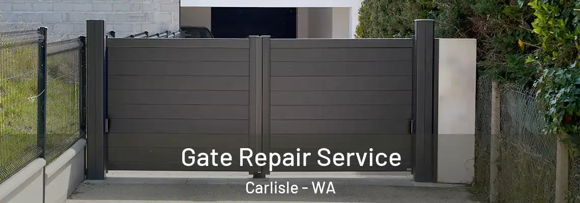 Gate Repair Service Carlisle - WA