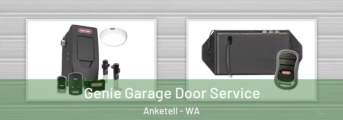  Genie Garage Door Service Anketell - WA