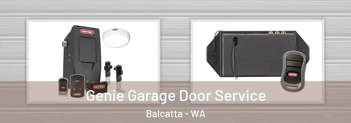 Genie Garage Door Service Balcatta - WA
