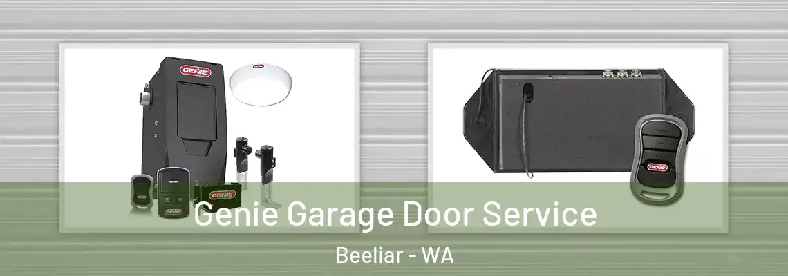 Genie Garage Door Service Beeliar - WA