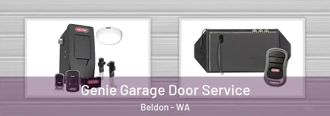 Genie Garage Door Service Beldon - WA