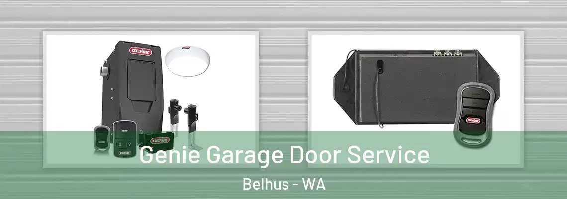 Genie Garage Door Service Belhus - WA