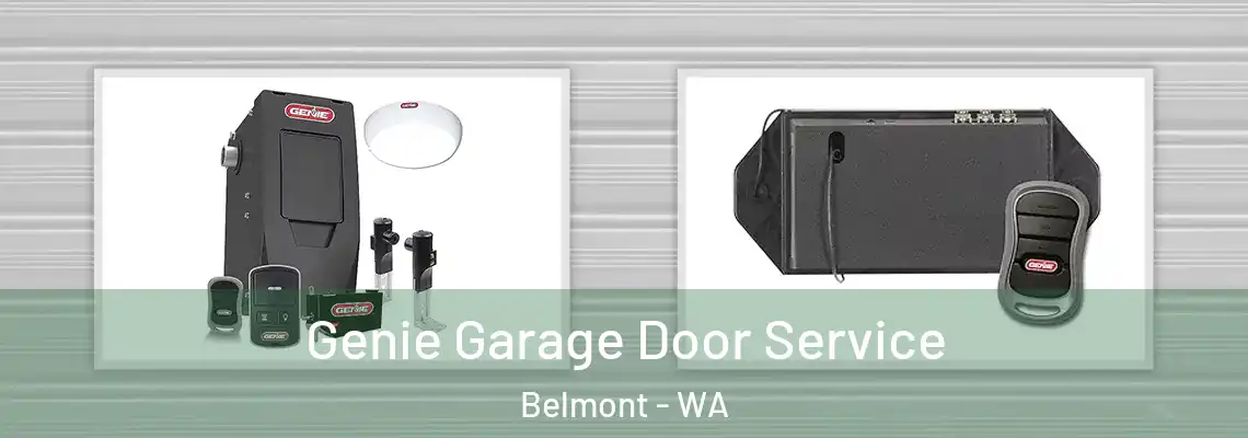 Genie Garage Door Service Belmont - WA