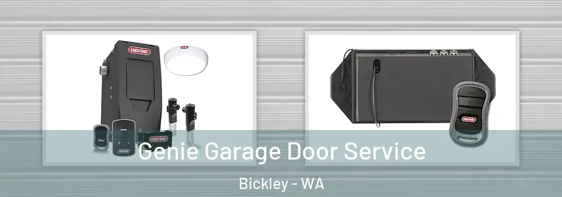 Genie Garage Door Service Bickley - WA