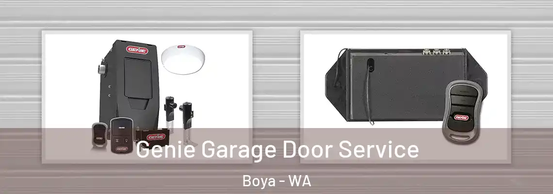 Genie Garage Door Service Boya - WA